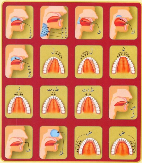 {{brizy_dc_image_alt imageSrc=